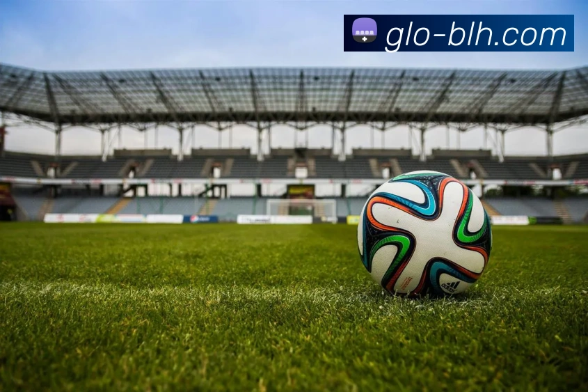 4001老百汇官网平台生态图